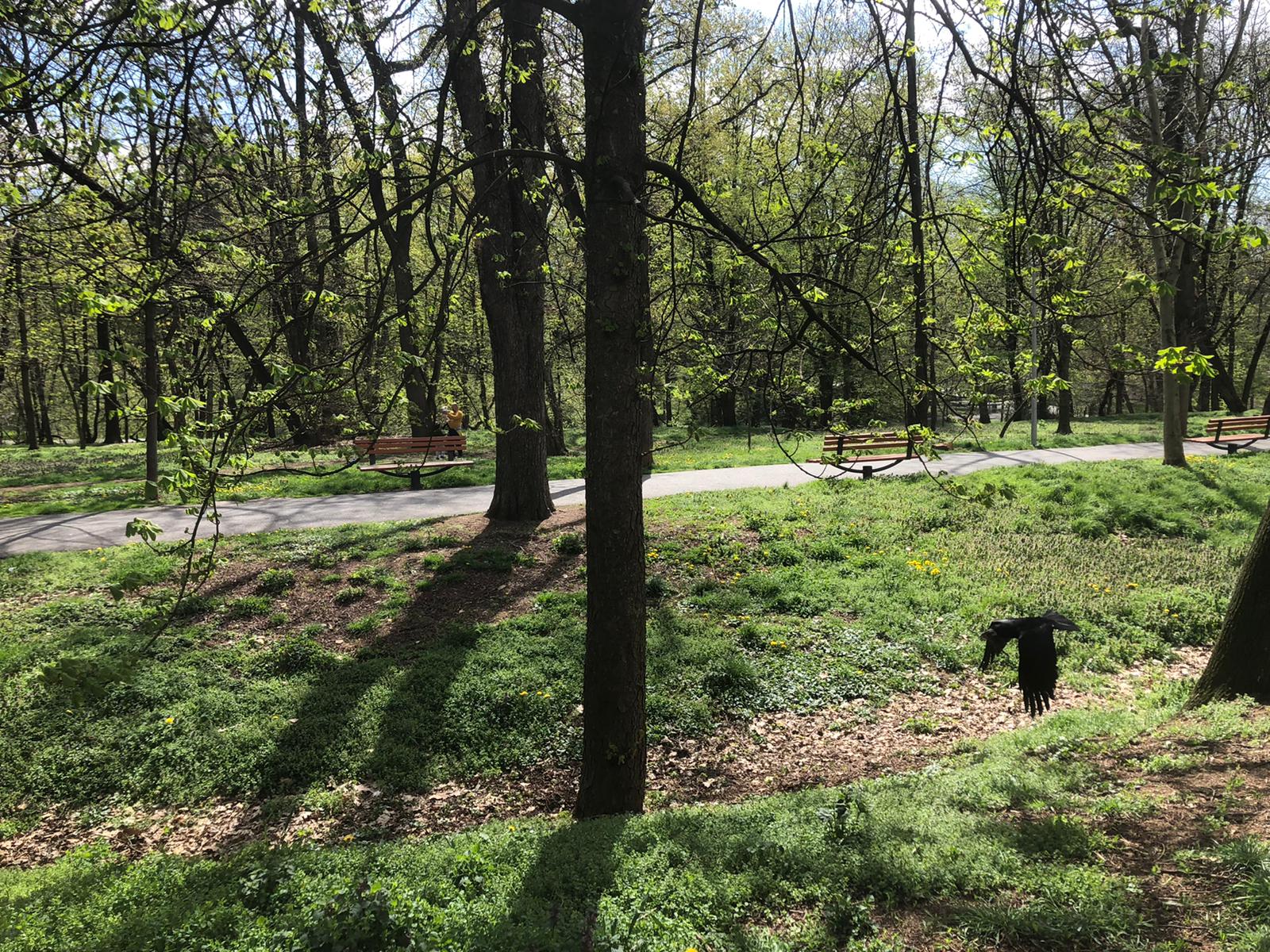 VIDEO: Construcții de locuințe în Parcul Sub Arini