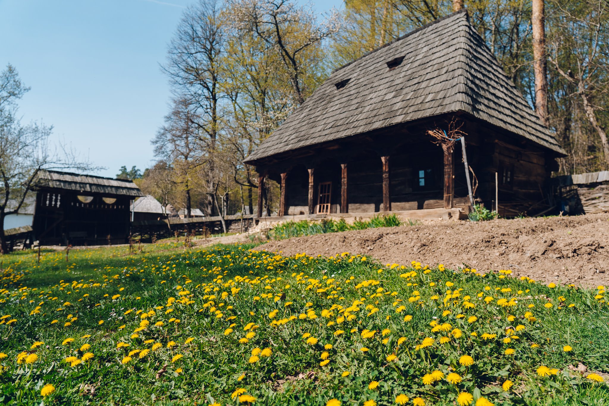 VIDEO / Vești bune pentru sibieni! Se redeschide Muzeul din Dumbrava Sibiului!
