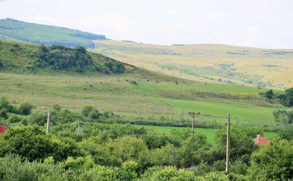 Mănăstirea Sădinca – locul unde liniştea atinge inima