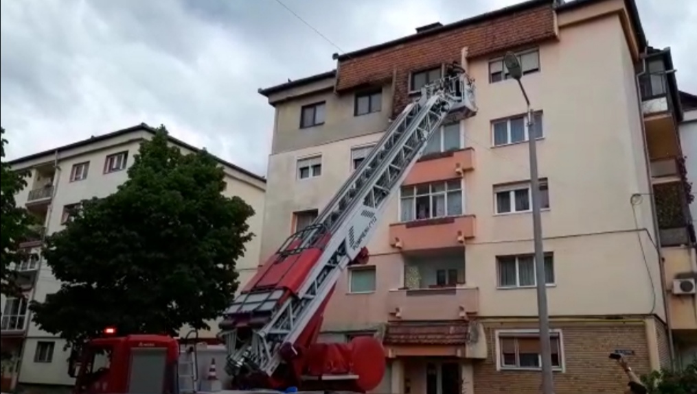 Porumbel blocat pe acoperiș, salvat de pompieri