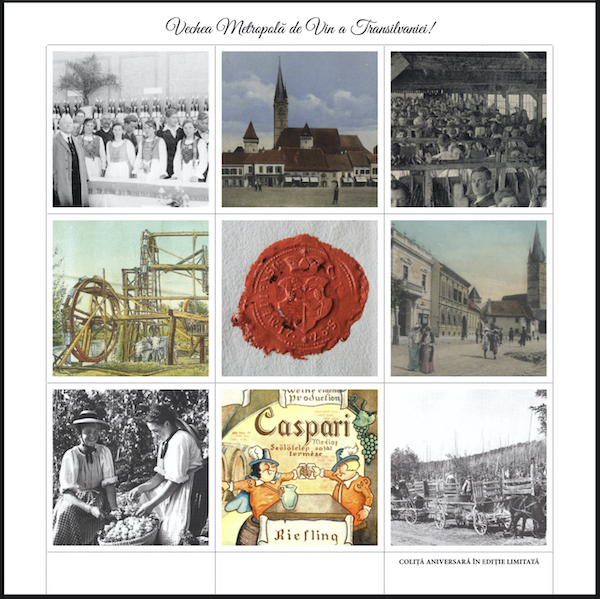 Premieră în industria vitivinicolă național: un soi nobil de viță de vie va avea o zi de sărbătoare internațională