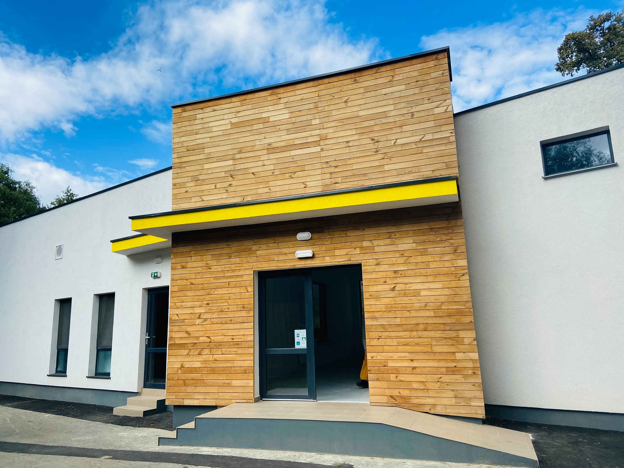 Tigrii, leii și jaguarii au propriul „birou”, la Sibiu