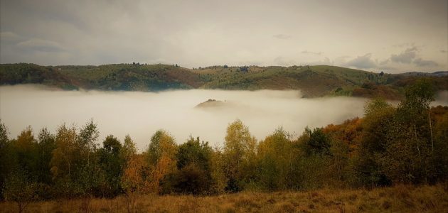 Ești pasionat de fotografie? „Culorile naturii” te provoacă la concurs!