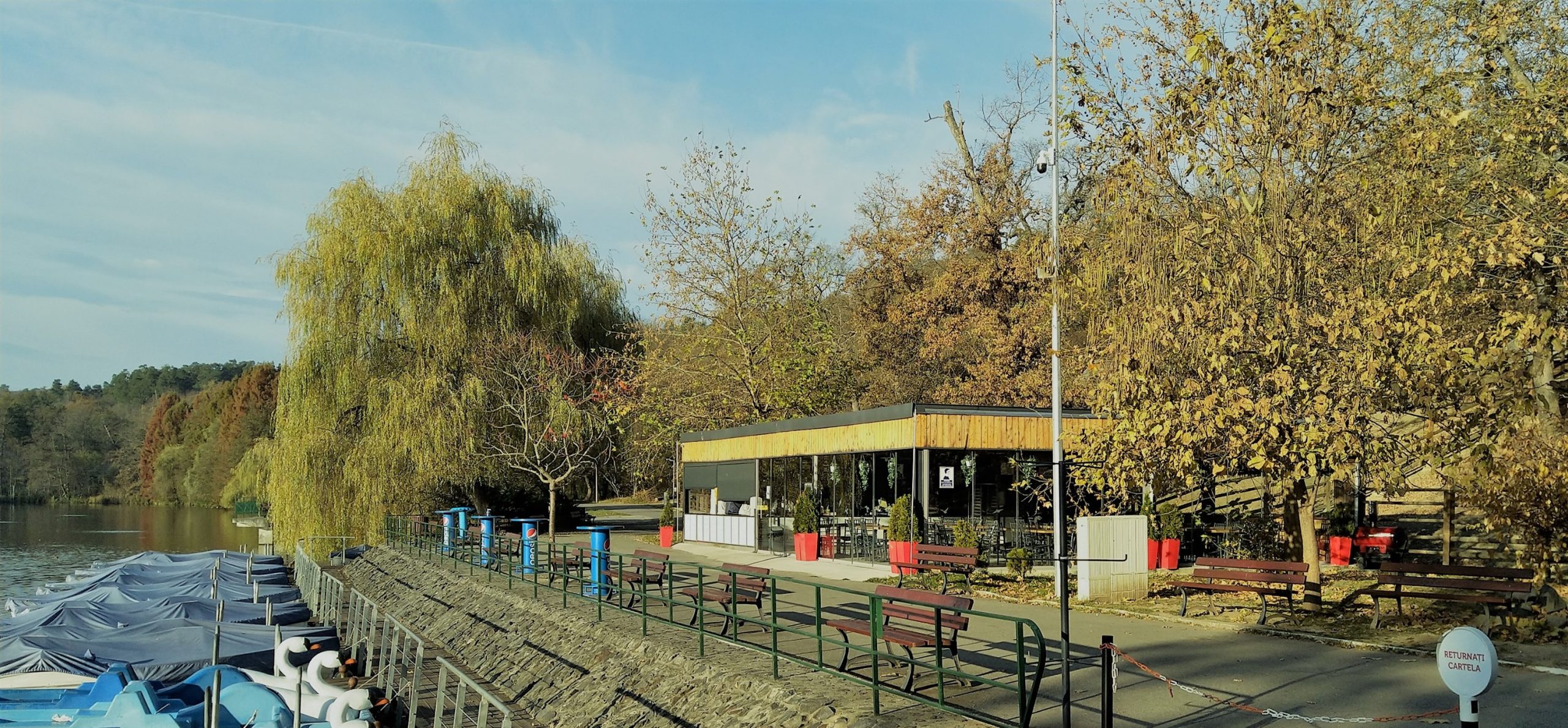 Cine caută un „administrator harnic și priceput pentru o relație contractuală”