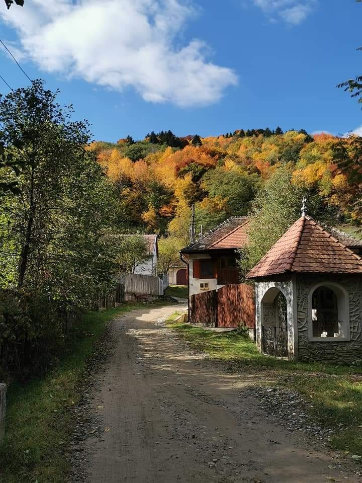 România, țara cu cei mai mulți proprietari din UE