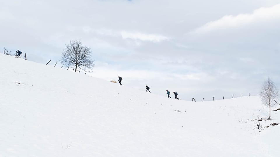 Iubitorii de natură, invitați pe urmele oierilor din Mărginime