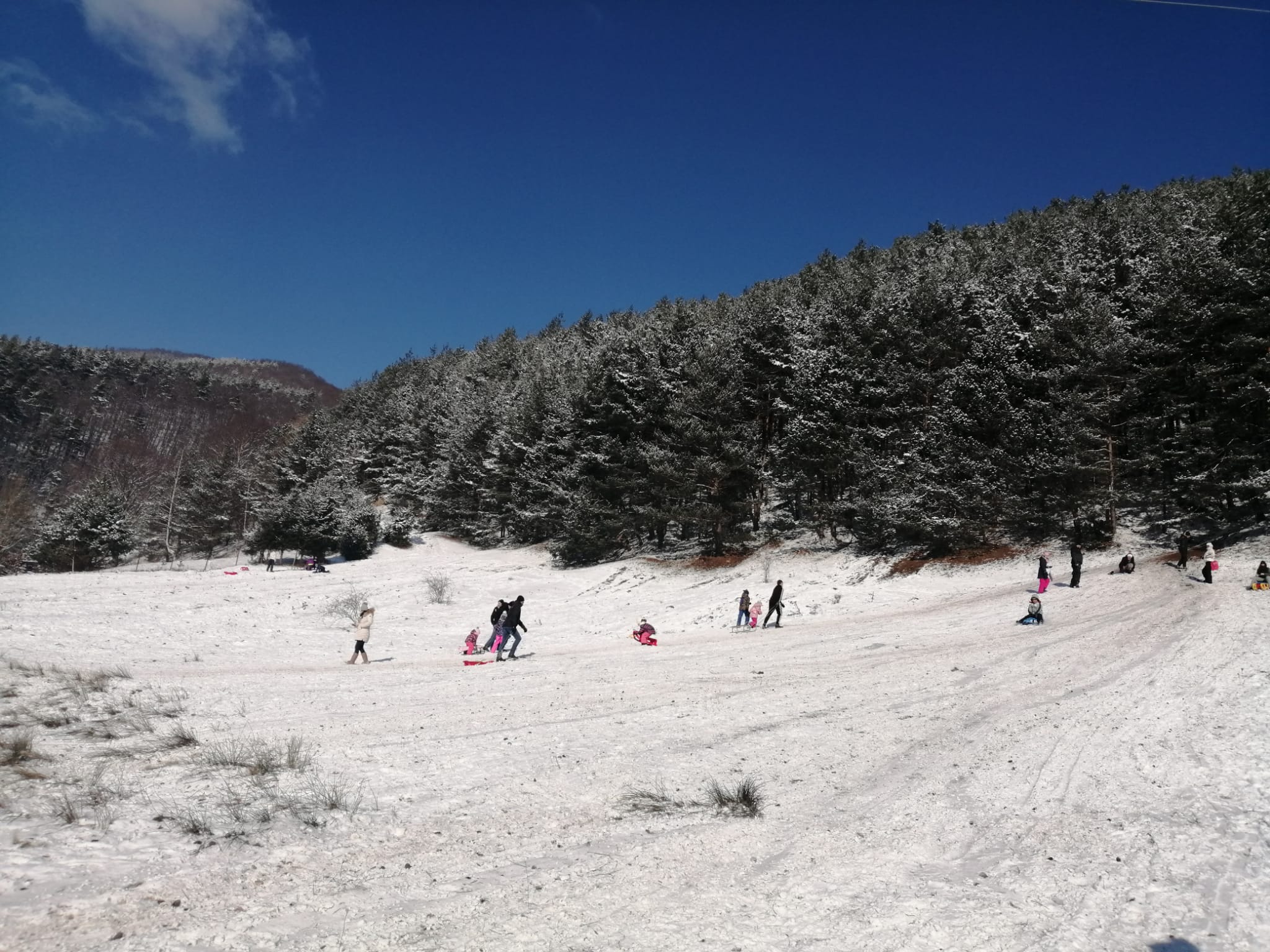Pârtie pentru săniuș, descoperită la doi pași de Sibiu. Nu mai e nevoie să urci la Păltiniș