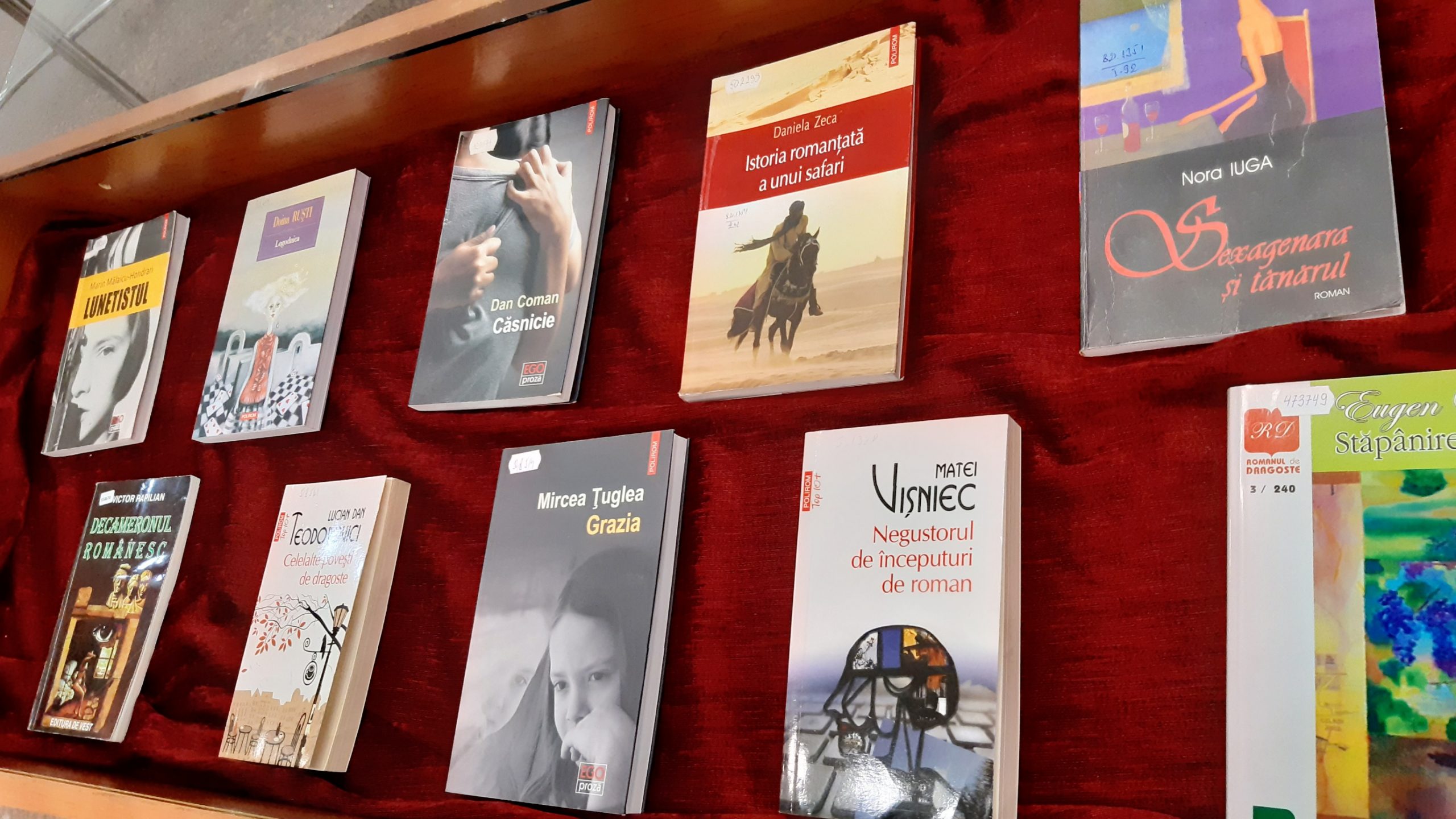 Dragobetele, sărbătorit la Biblioteca ASTRA prin cele mai frumoase povești de dragoste din literatura română