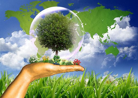 Elevii, părinții și profesorii din Turnu Roșu, invitați la o acțiune de ecologizare, de Ora Pământului