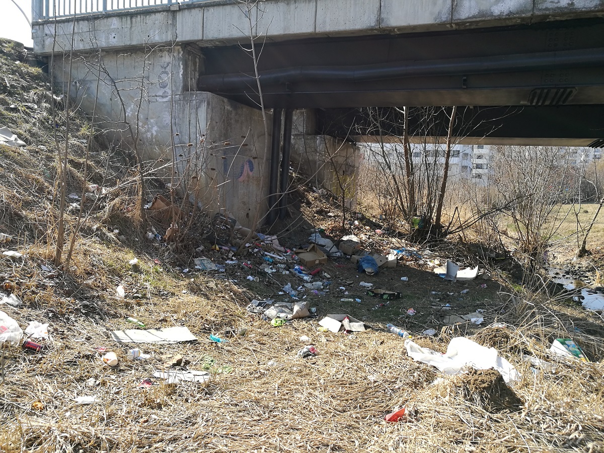 FOTO| Sibienii decontează nesimțirea unor concitadini