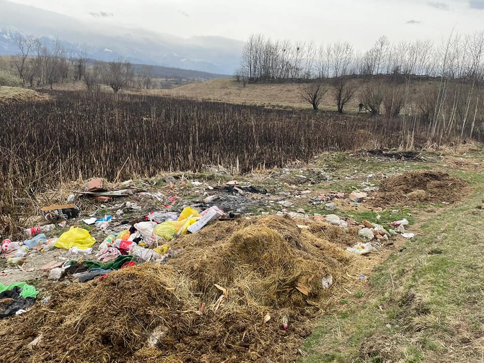 Două femei, amendate de polițiștii din Avrig după ce au aruncat gunoaie la întâmplare. Primarul Adrian David: „Se civilizează de bunăvoie sau plătesc!”