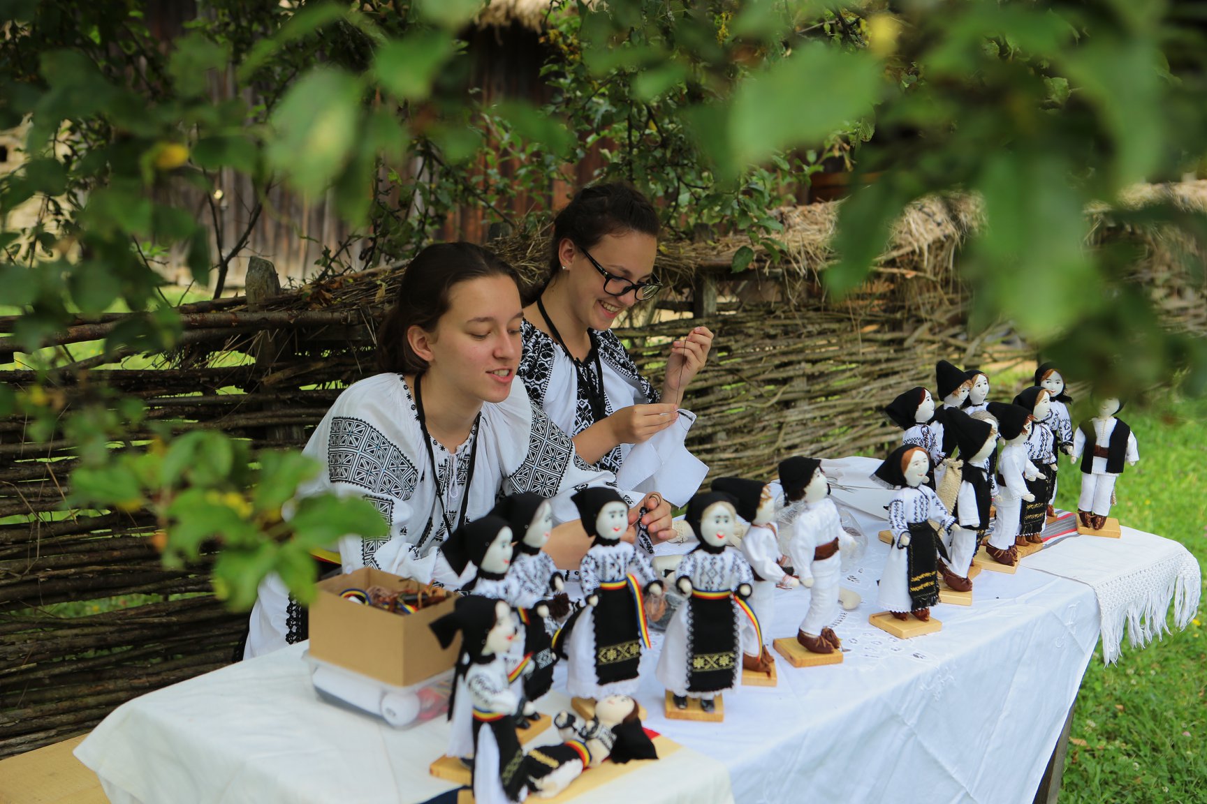 Ultima săptămână de înscrieri la Olimpiada din Muzeul ASTRA