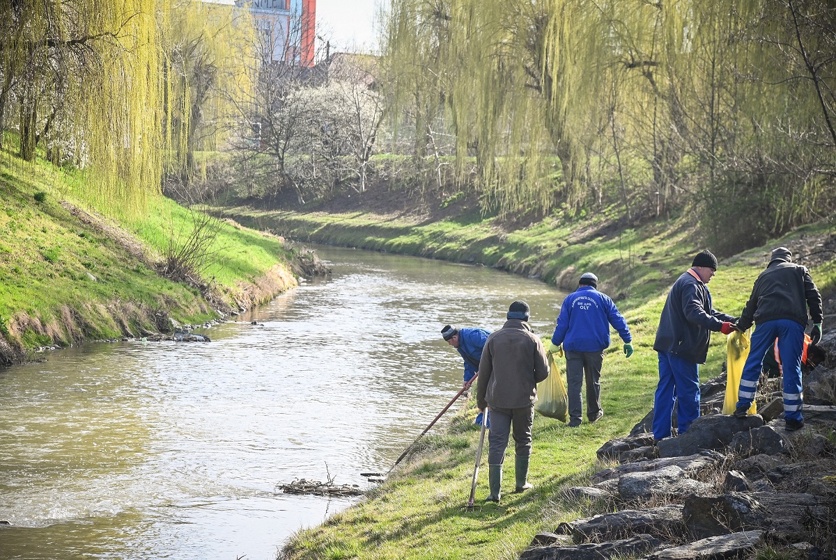 „Șmotru” pe malurile Cibinului și Rosbach-ului