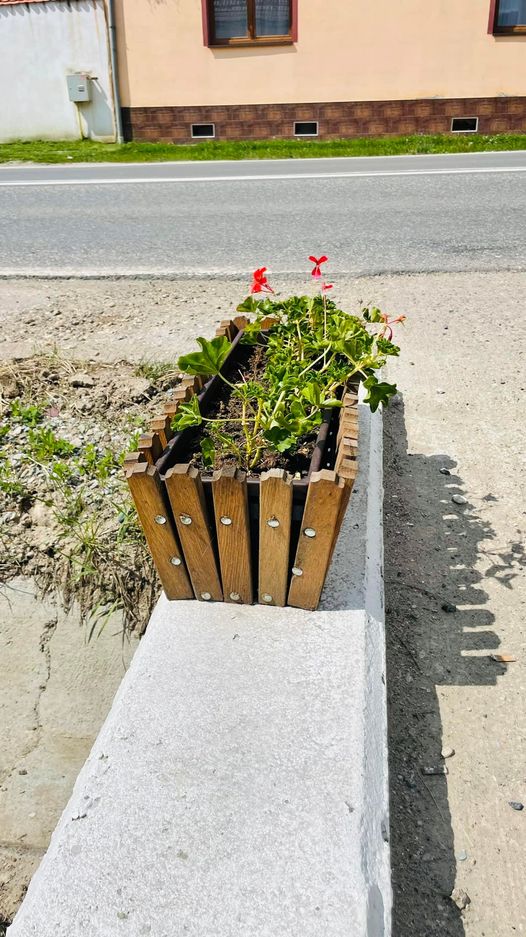 Localnicii din comuna Șura Mare, rugați să își ude florile