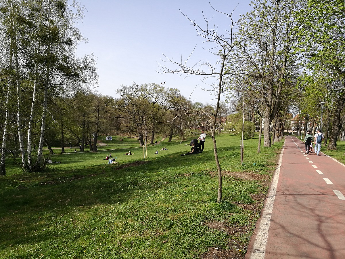 Este sau nu Sibiul oraș verde? Aflăm miercuri