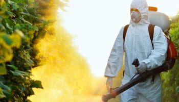 Acțiuni de dezinsecție, astăzi, la Avrig