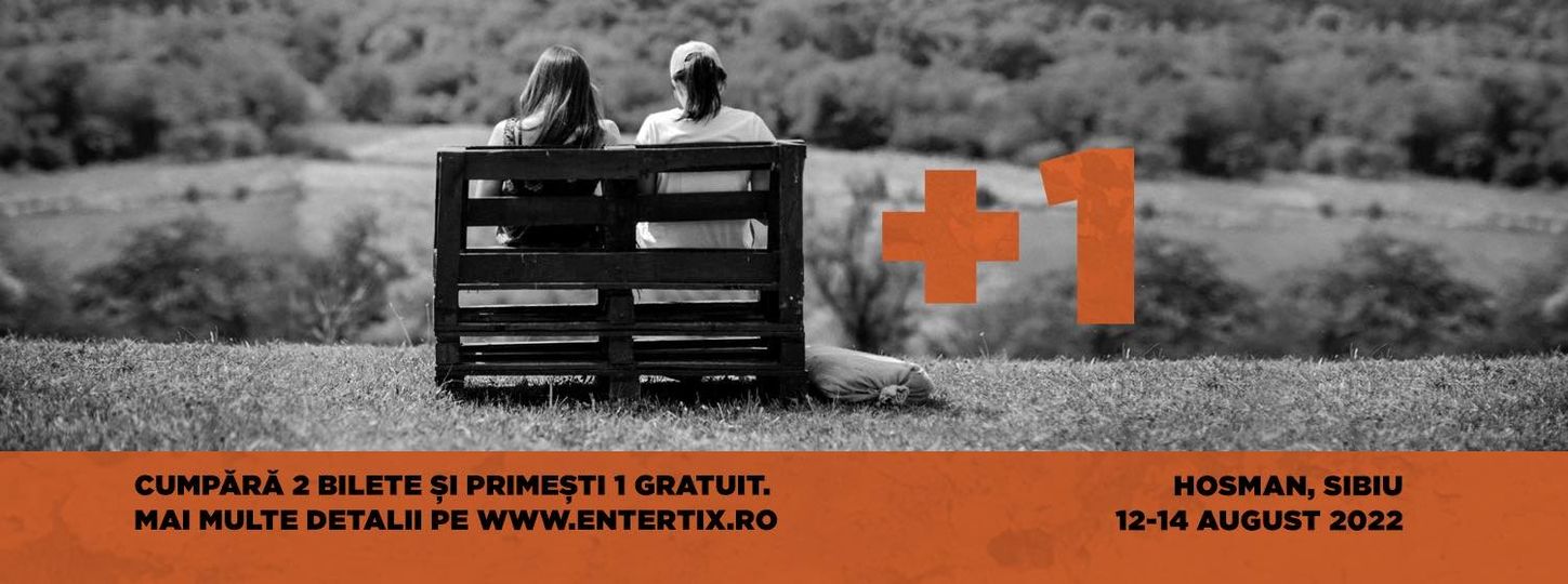 Festivalul Holzstock revine la Hosman și caută voluntari. Ce trebuie să faci