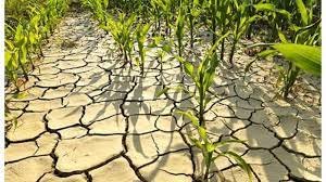 Atenție la folosirea apei! Slimnicenii, îndemnați la ce să nu o folosească